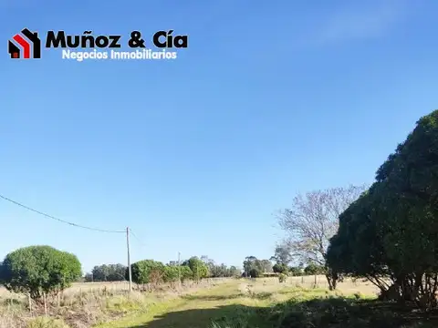 Campo en Venta Agricola