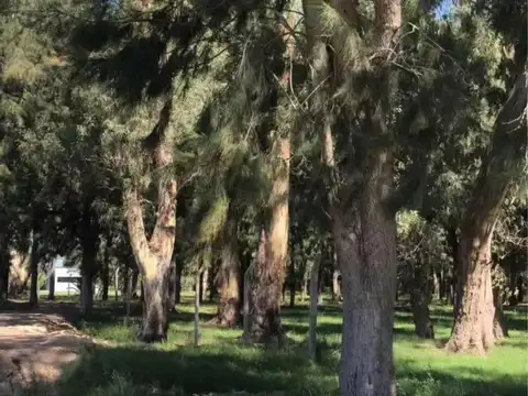 Campo en venta - 10.053Mts2 - Villa Elvira, La Plata