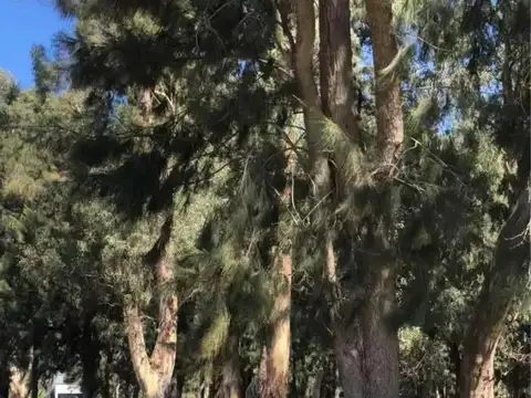 Campo en venta - 10.053Mts2 - Villa Elvira, La Plata