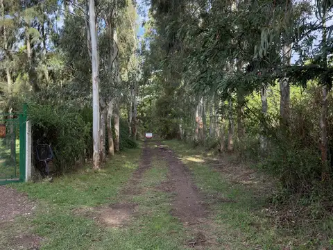 Terreno en Venta en Arturo Segui, USD 55.000