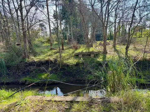 Terreno en Venta en Arturo Segui, USD 55.000