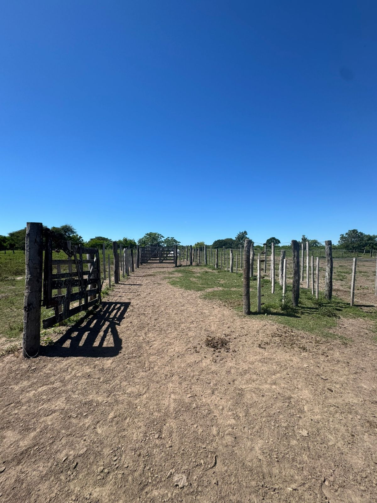 Campo en Venta en San Javier