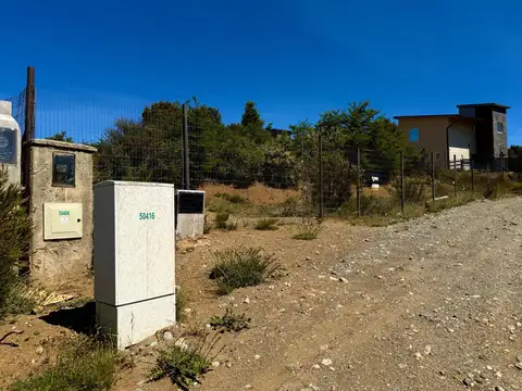 De los cerastios 600