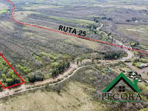 Campo - Isla - Rio Lujan - Belen de Escobar