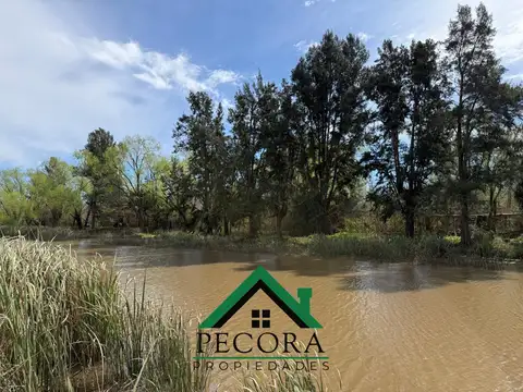 Campo - Isla - Rio Lujan - Belen de Escobar