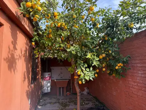 69 entre 116 y 117 100, Piso 0