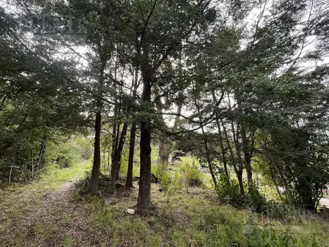 Ojo de dios, Manzano Villa la Angostura