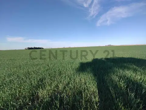 Venta Campo en Díaz Santa Fe