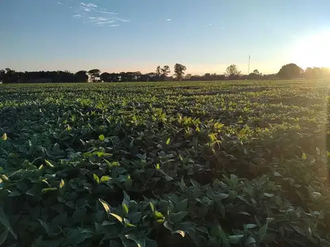Venta campo en díaz santa fe