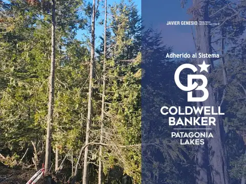 VENTA Terreno 430,7 mt2 Loteo Selvana I Villa La Angostura