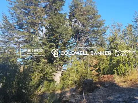 VENTA Terreno 430,7 mt2 Loteo Selvana I Villa La Angostura