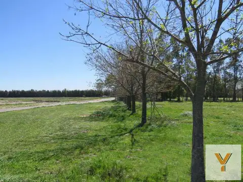 Terreno en Venta en Santa Ines, USD 78.000