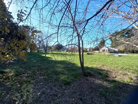 Jacaranda al 1800 - B. Jularo - Exaltacion de la Cruz