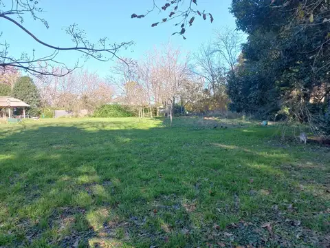 Terreno en Venta 40  mts Fondo