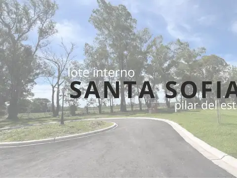 VENTA LOTE INTERNO BARRIO SANTA SOFIA PILAR DEL ESTE