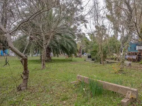 Formosa 200