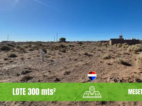 Terreno en Venta en Centenario, Confluencia