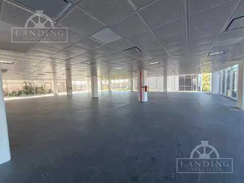 Oficina en Edificio triple A en Lumina 3