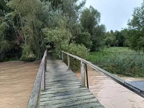 11 hectáreas Para el Puerto Villa Paranacito,Isla del Ibicuy