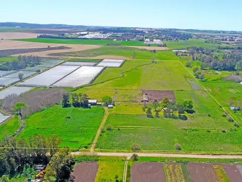 Mar del Plata - El Boquerón - 25 has - Feedlot