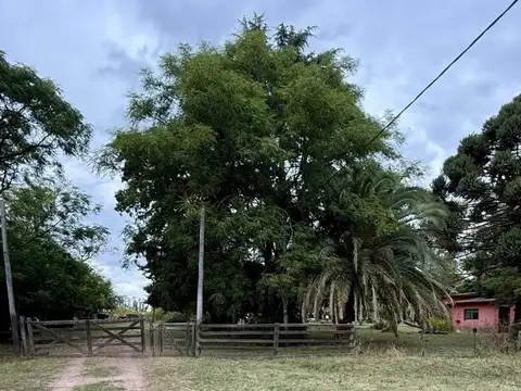 Chacra de 5 hectáreas, Lista para escriturar en Olivera, Luján.