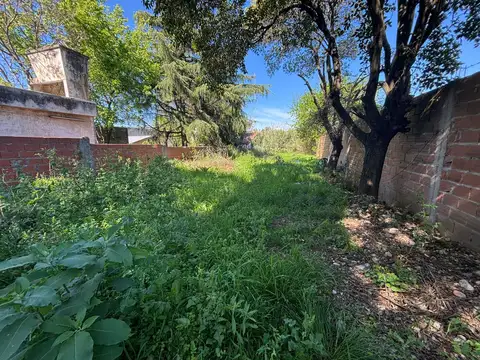 Terreno en Venta 62  mts Fondo