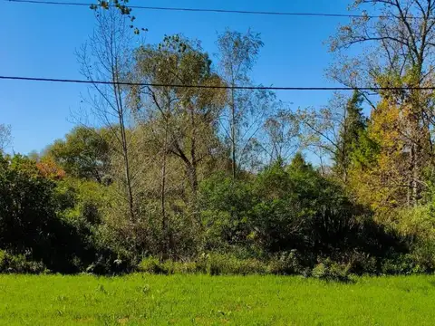 Arroyo Torito Lote 100