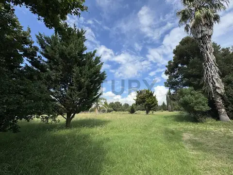 143 y 627 100