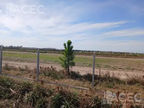 Venta - Campo 58,50 ha - Ibarlucea