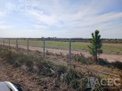 Ibarlucea - Fraccion de Campo