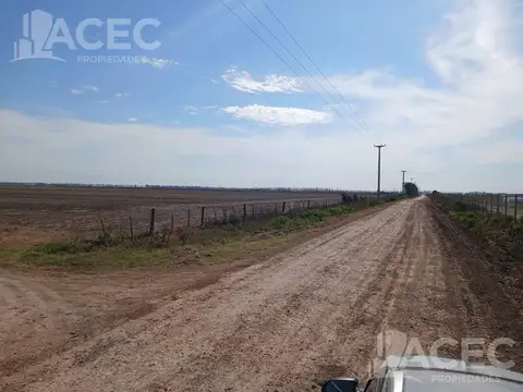 Venta - Campo 58,50 ha - Ibarlucea