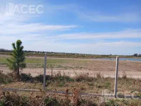 Campo en Venta en Ibarlucea, Rosario