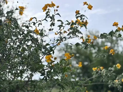 Venta de campo mixto en la Sarita