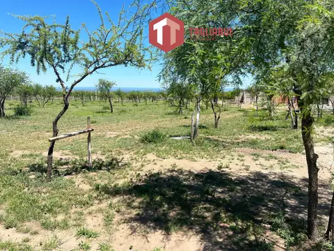 Terreno en La Arbolada Merlo,San Luis