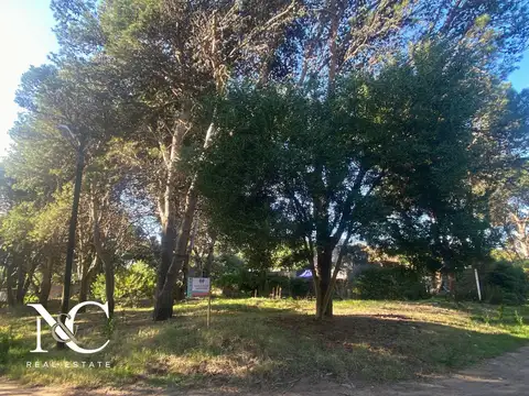 Ayacuho Esq. Pedro de Mendoza , Valeria del Mar