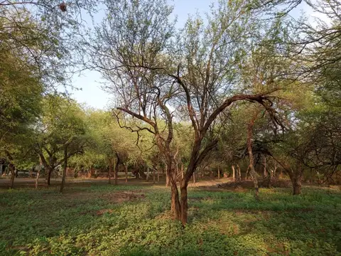 Terreno en Venta de 960,0 m2