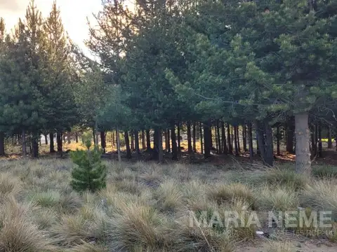 Terreno en Venta 25  mts Frente