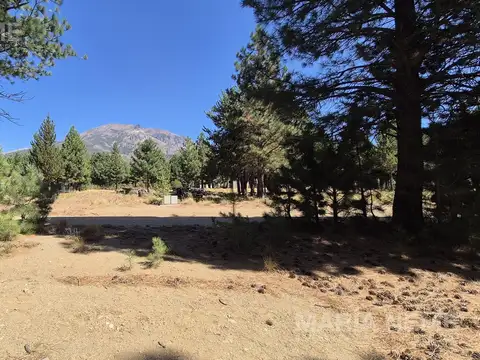Terreno en Venta 40  mts Fondo