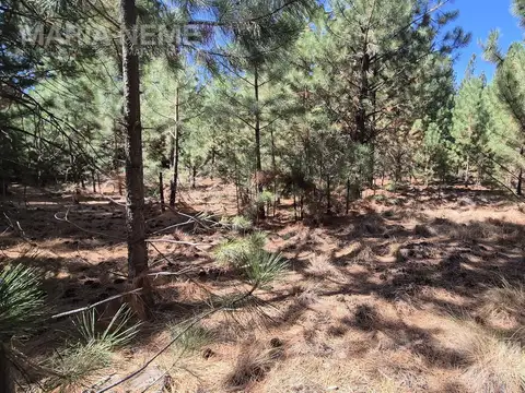 Lote L29 en Club de Campo Dos Valles