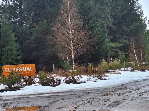 Terreno en Venta en San Martin de los Andes, Lácar