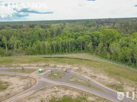 NATIVAS - Puertos del Lago