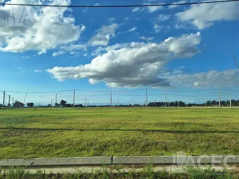 Venta - Terreno en General Lagos -