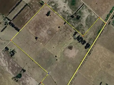Campo Mixto de 88 Has en Zapiola con Casa, Pileta y Excelente Acceso - Venta