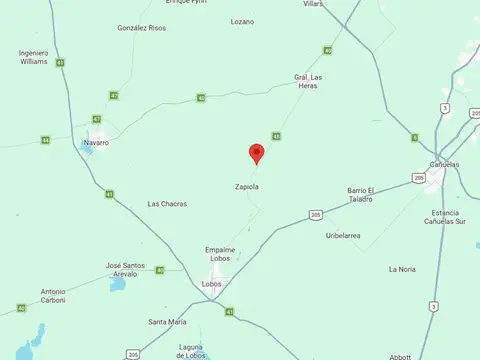 Campo Mixto de 74,5 Has en Zapiola con Casa, Pileta y Excelente Acceso - Venta