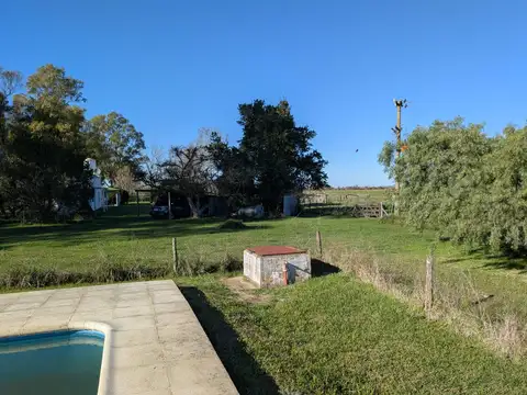 Campo Mixto de 88 Has en Zapiola con Casa, Pileta y Excelente Acceso - Venta
