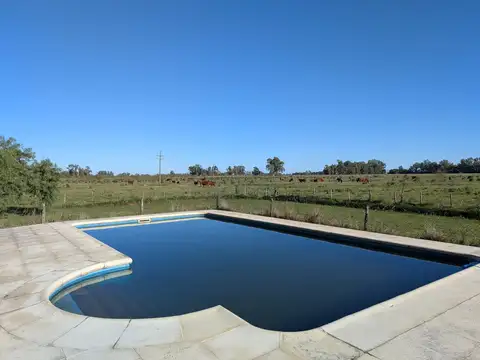 Campo Mixto de 88 Has en Zapiola con Casa, Pileta y Excelente Acceso - Venta