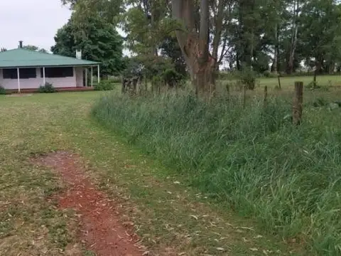 Campo Mixto de 88 Has en Zapiola con Casa, Pileta y Excelente Acceso - Venta