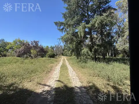 Terreno en Venta 100  mts Frente