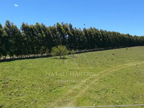 Terreno en Venta en Federacion, USD 12.756