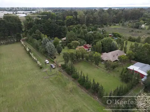 IMPECABLE CHACRA  EN A. SEGUI SOBRE 2.3 HAS CON PISCINA, CASA PRINCIPAL, SALON DE EVENTOS, QUINCHO Y